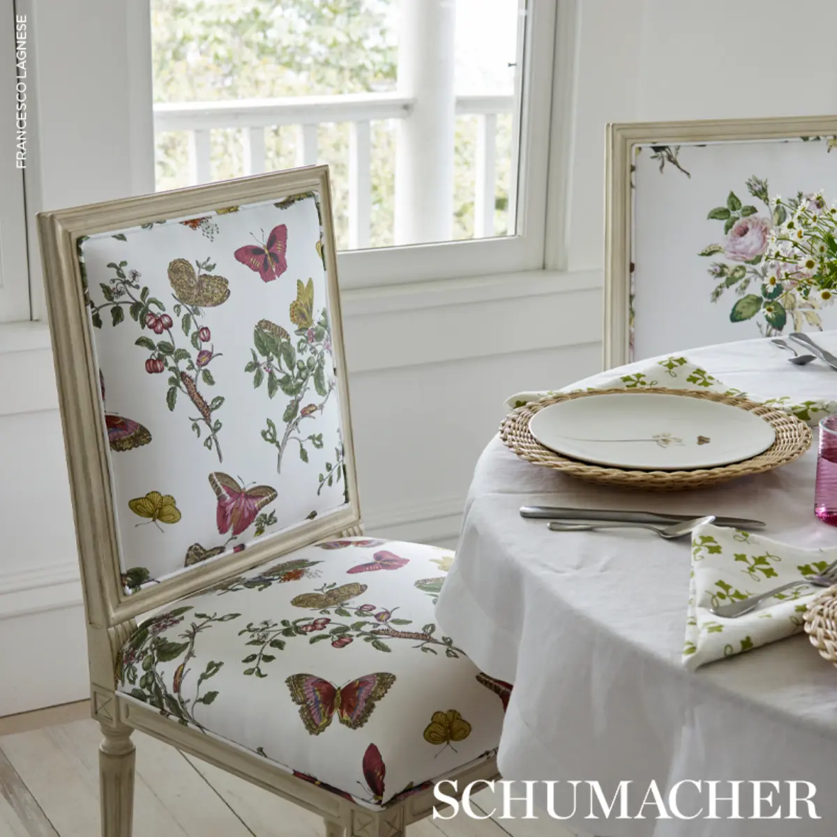 BAUDIN BUTTERFLY CHINTZ_ BLUSH