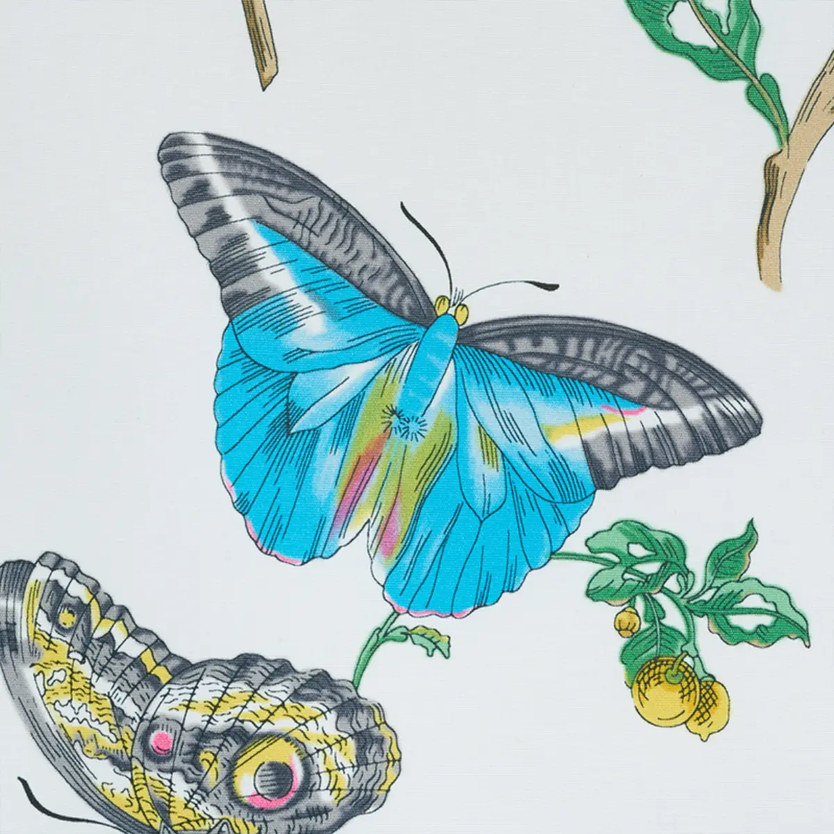 BAUDIN BUTTERFLY CHINTZ_ TURQUOISE