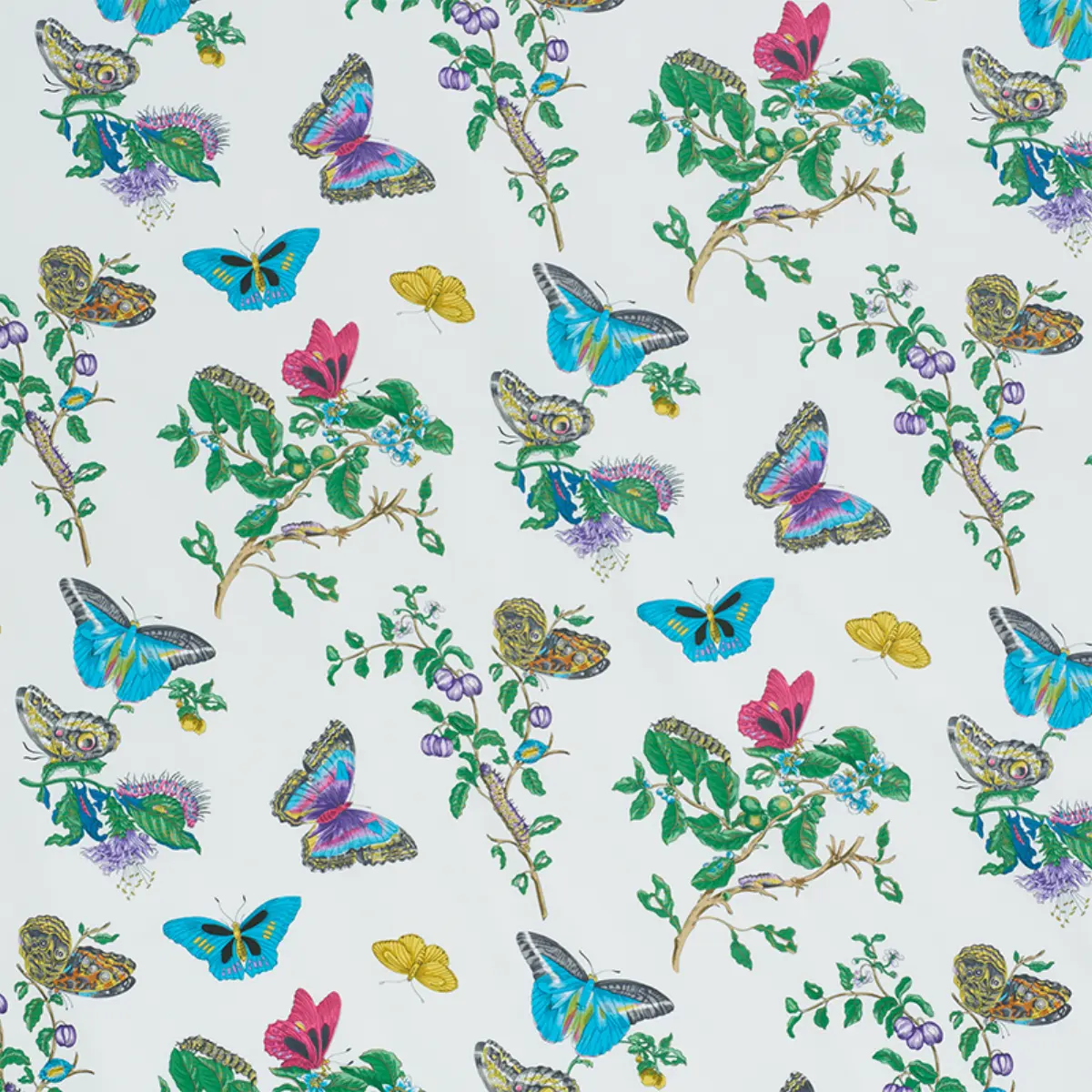BAUDIN BUTTERFLY CHINTZ_ TURQUOISE