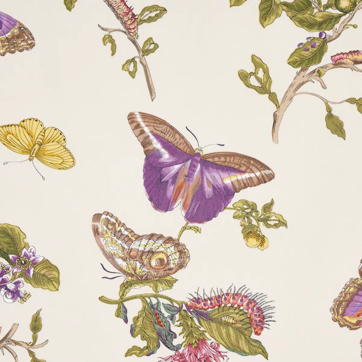 BAUDIN BUTTERFLY CHINTZ_ PURPLE