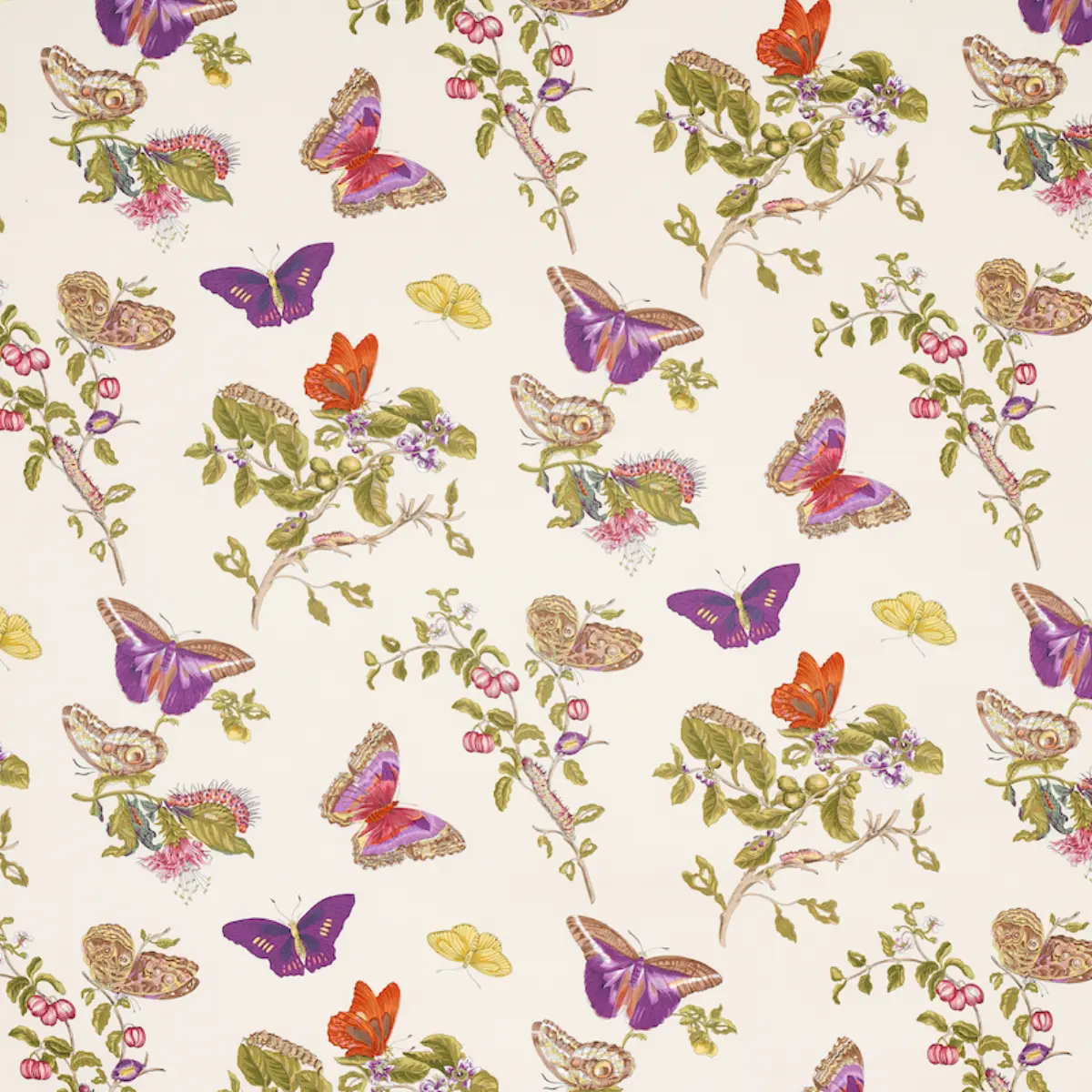 BAUDIN BUTTERFLY CHINTZ_ PURPLE