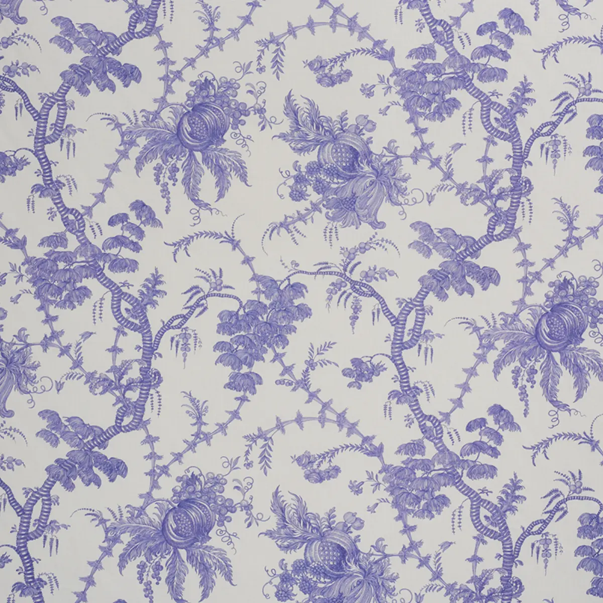 SAN CRISTOBAL TOILE_ PURPLE