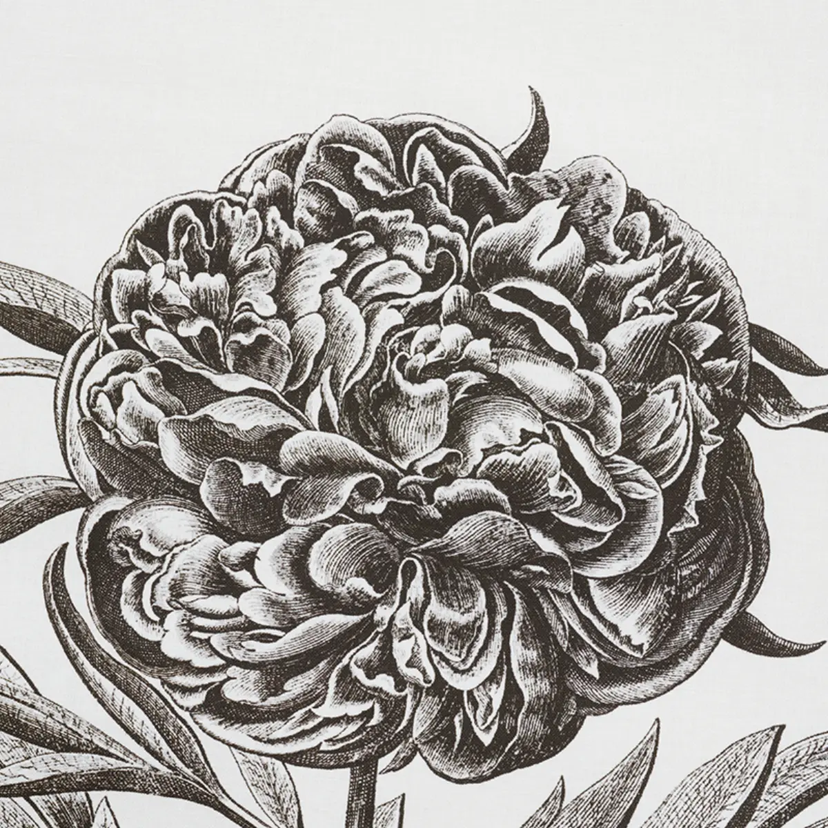 CABOT BOTANICAL LARGE_ IVORY
