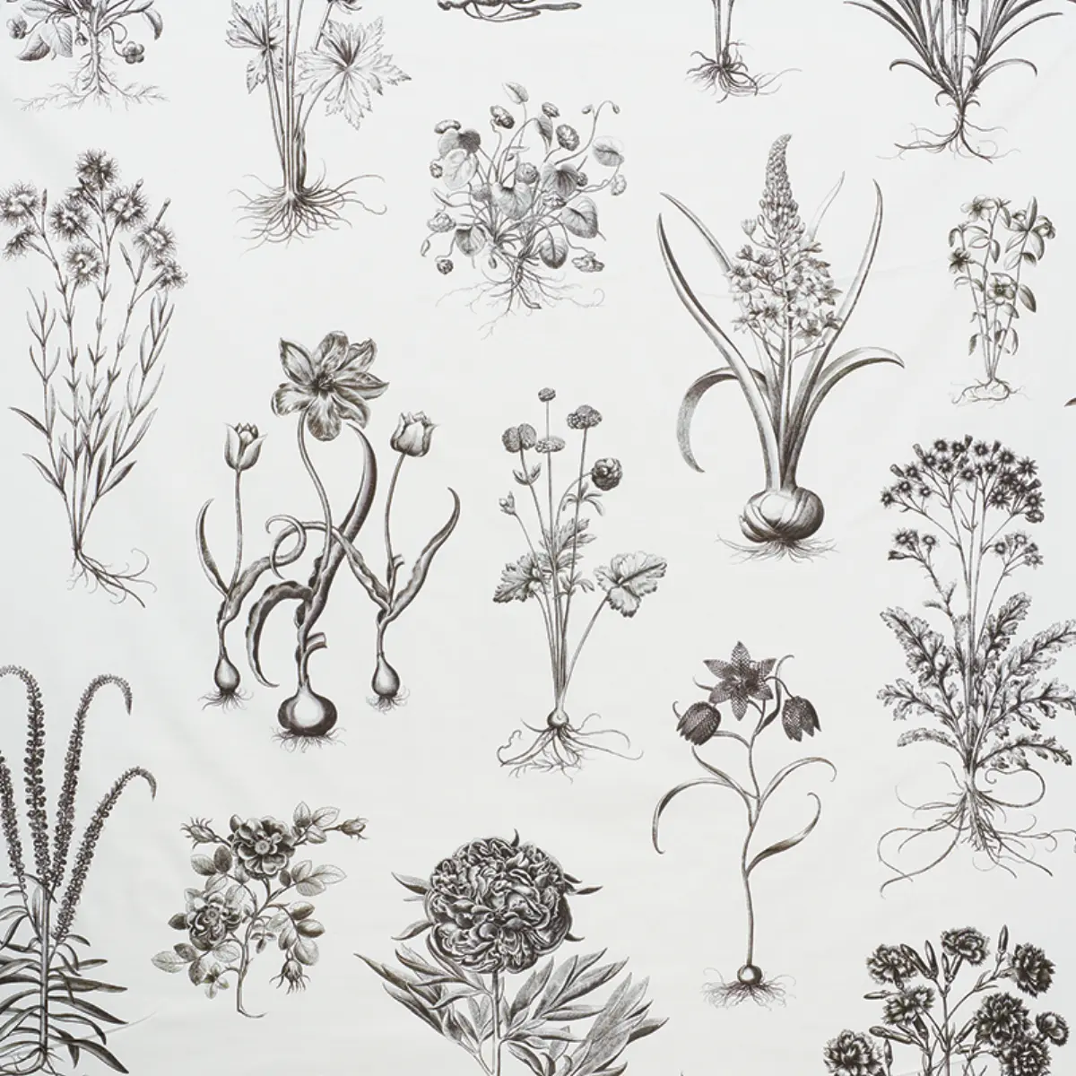 CABOT BOTANICAL LARGE_ IVORY