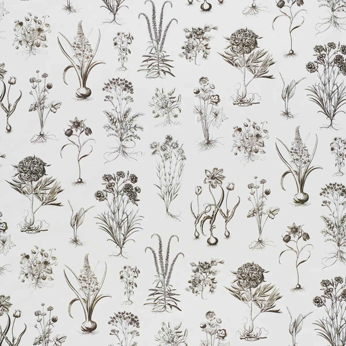 CABOT BOTANICAL_ IVORY