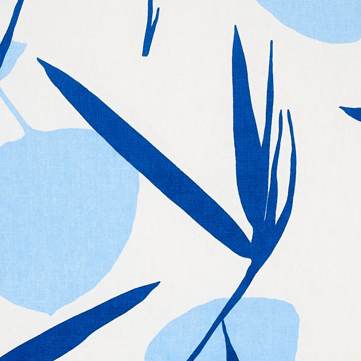 JOAN_ BLUE