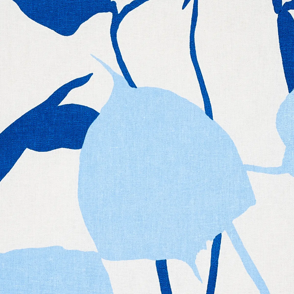 JOAN_ BLUE