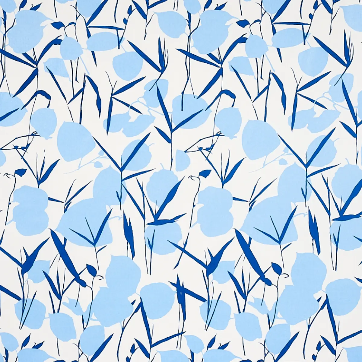 JOAN_ BLUE