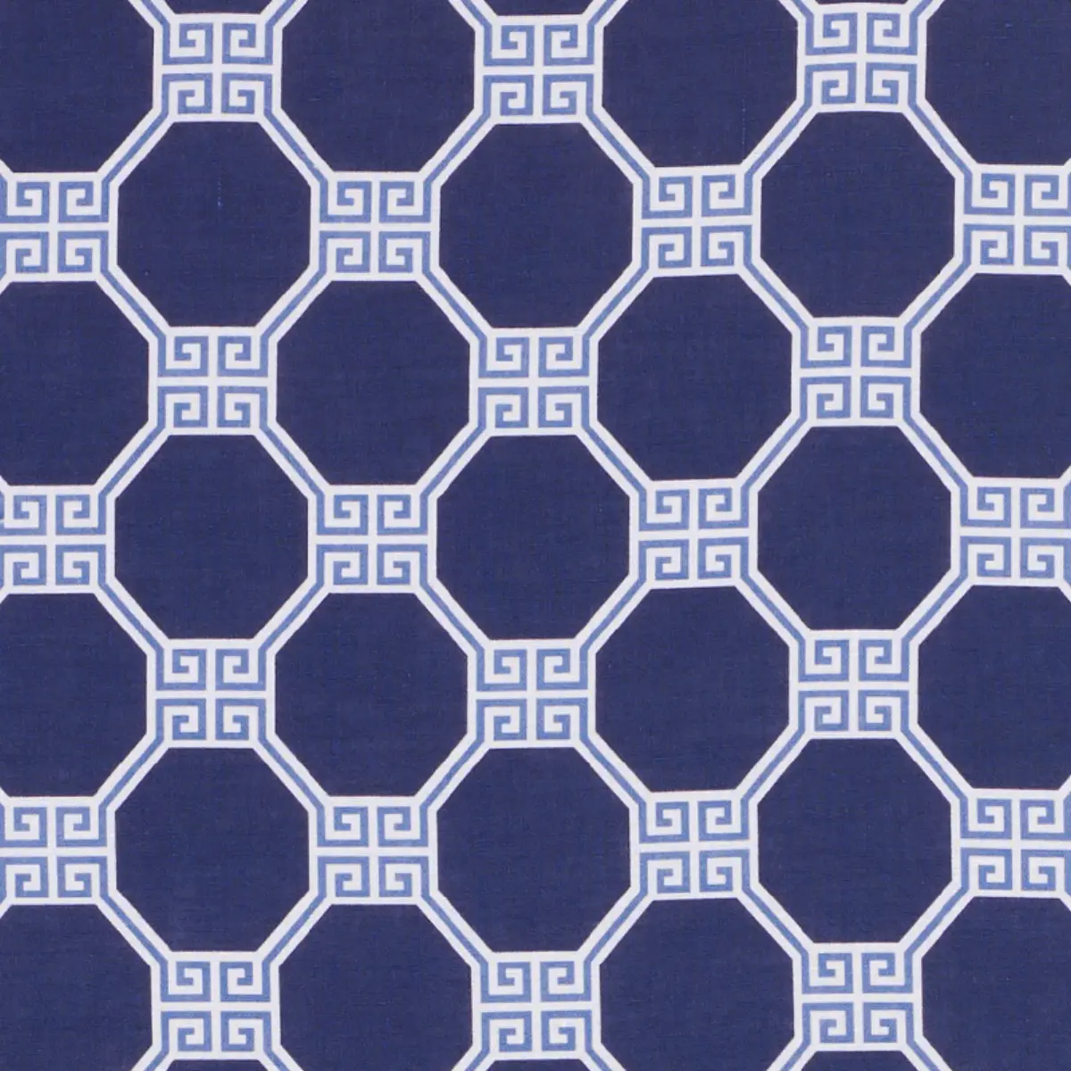 OCTAVIA_ BLUE