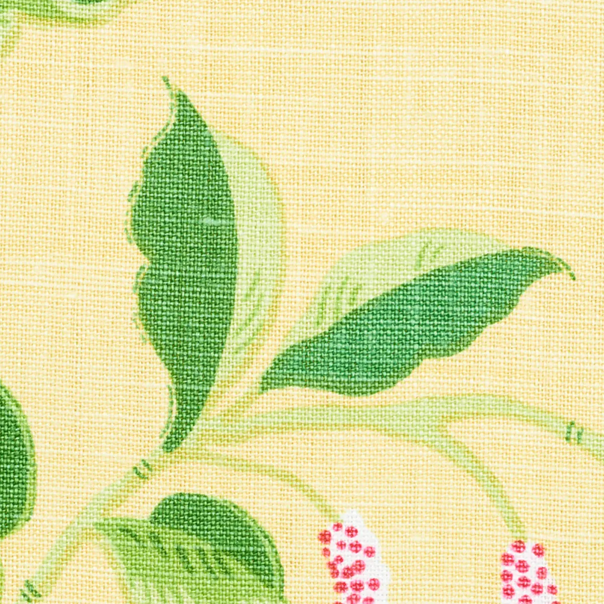 LOTUS GARDEN_ YELLOW