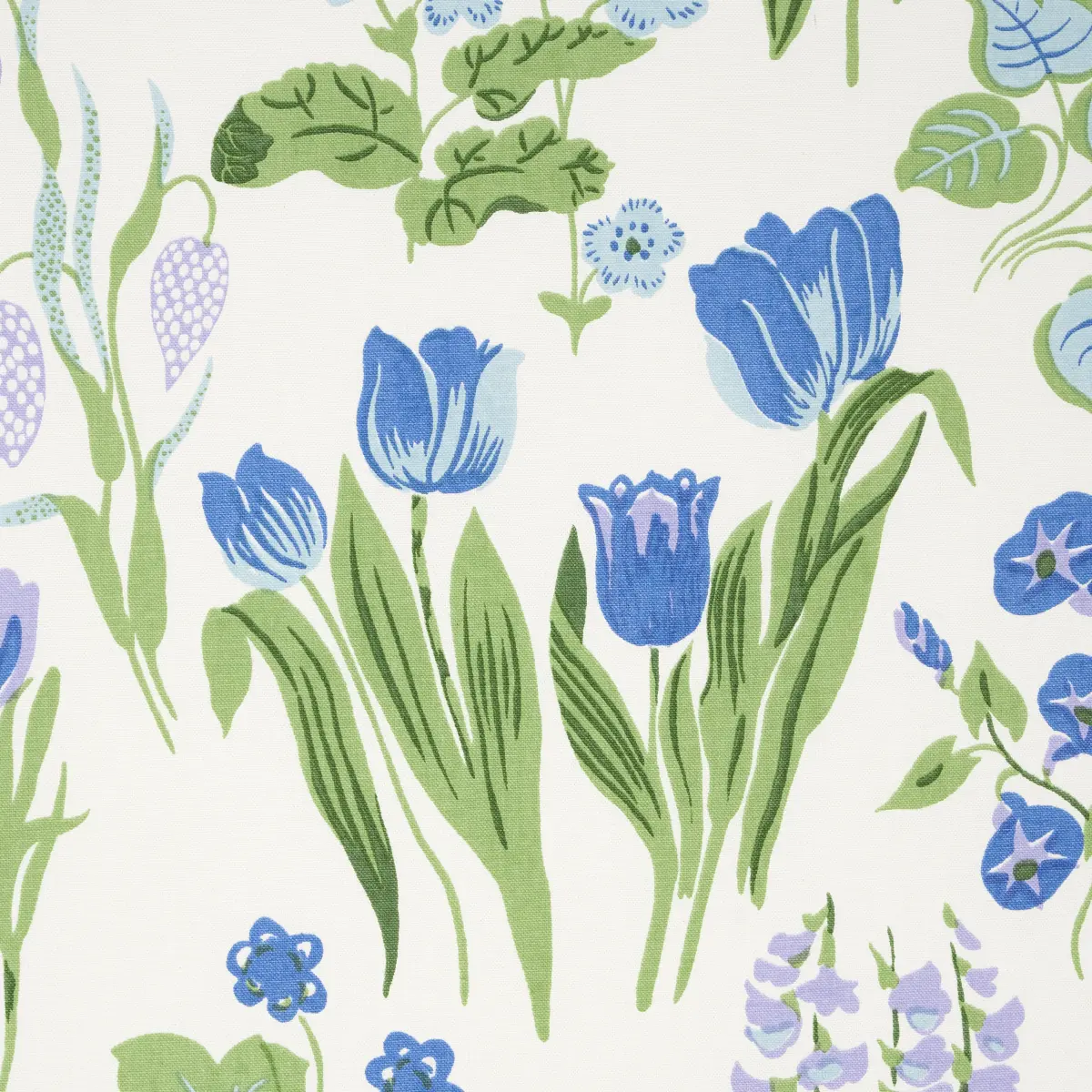 CARLY_ BLUE BELL