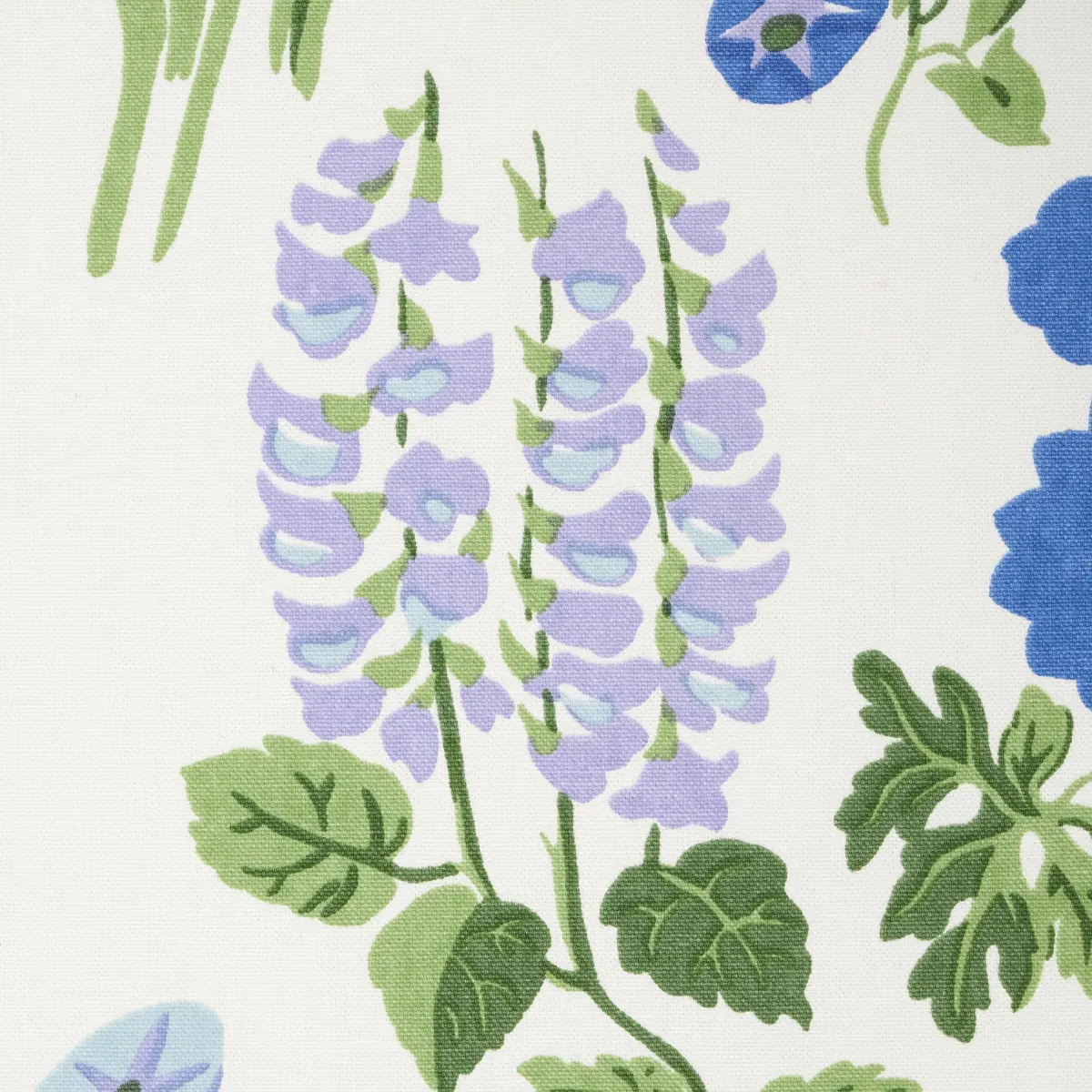 CARLY_ BLUE BELL