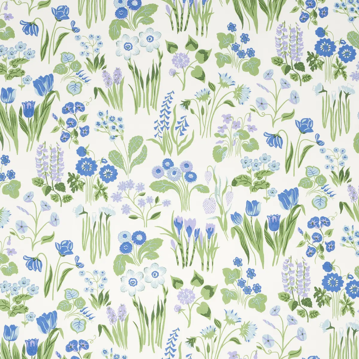 CARLY_ BLUE BELL