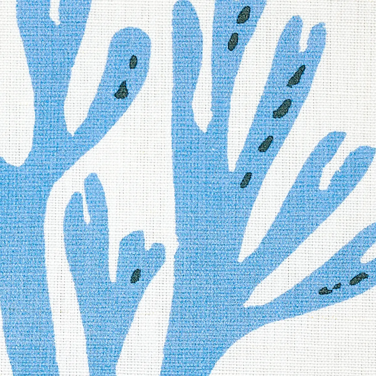 CORAL_ BLUE