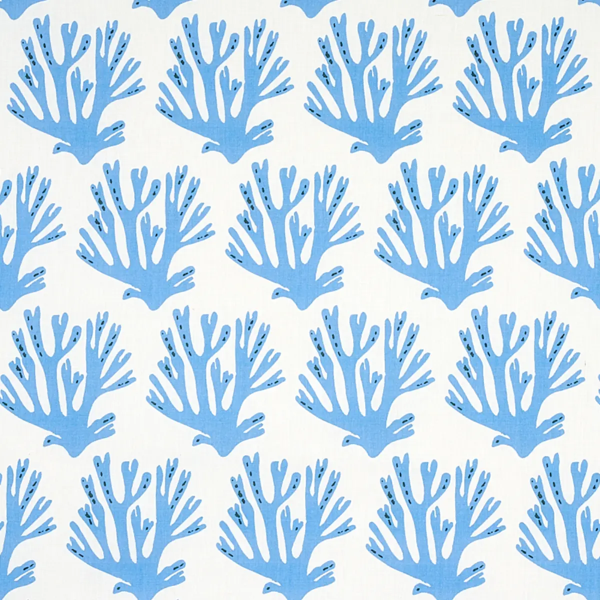 CORAL_ BLUE