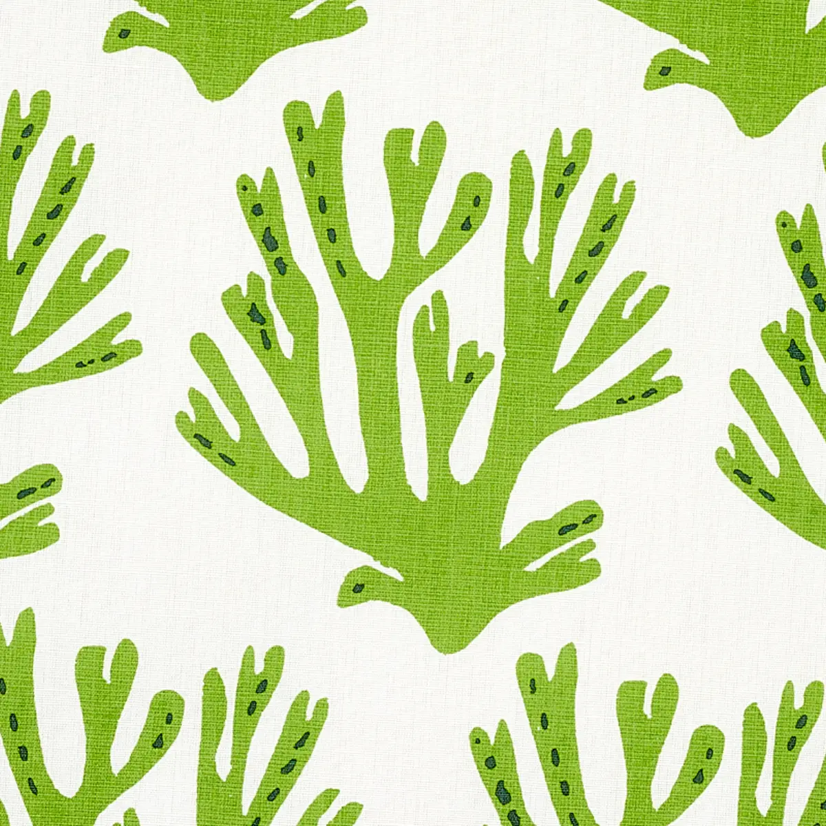 CORAL_ GREEN