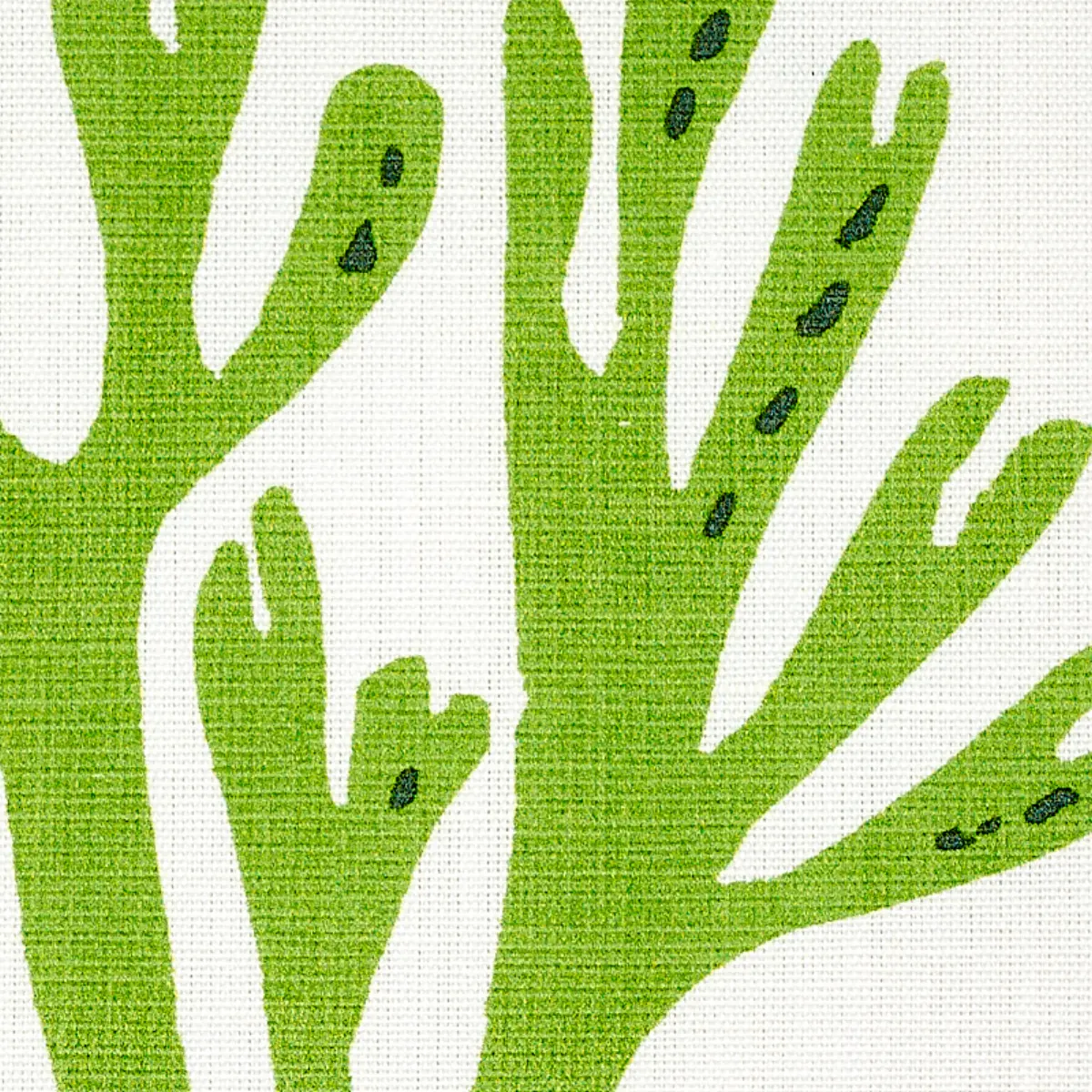 CORAL_ GREEN