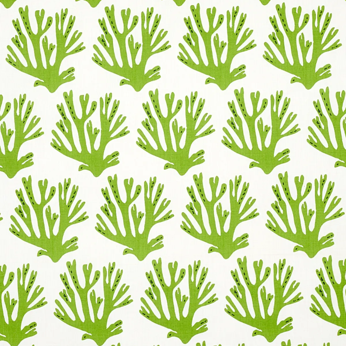CORAL_ GREEN