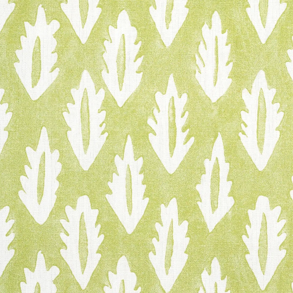 FOREST_ GRASS GREEN