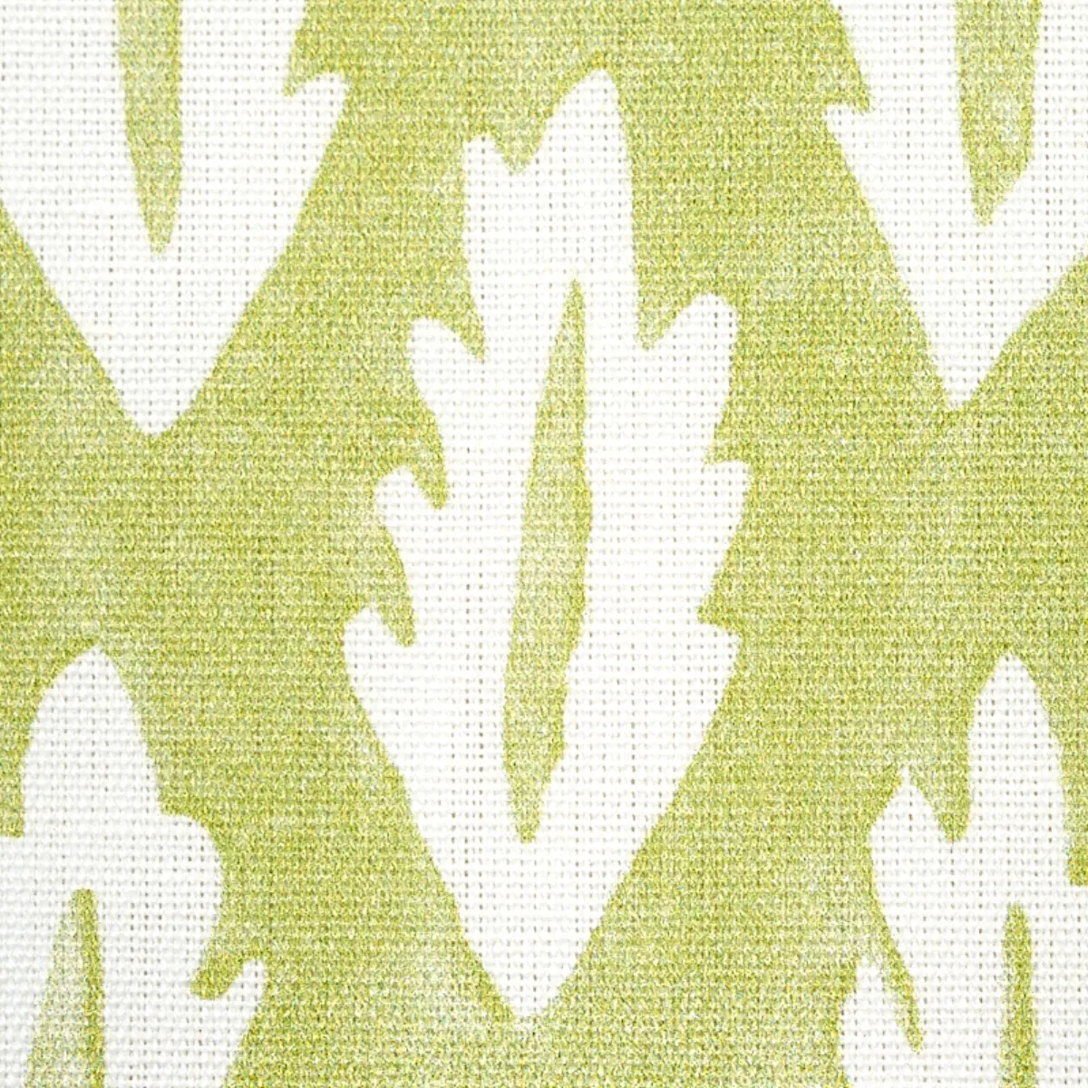 FOREST_ GRASS GREEN