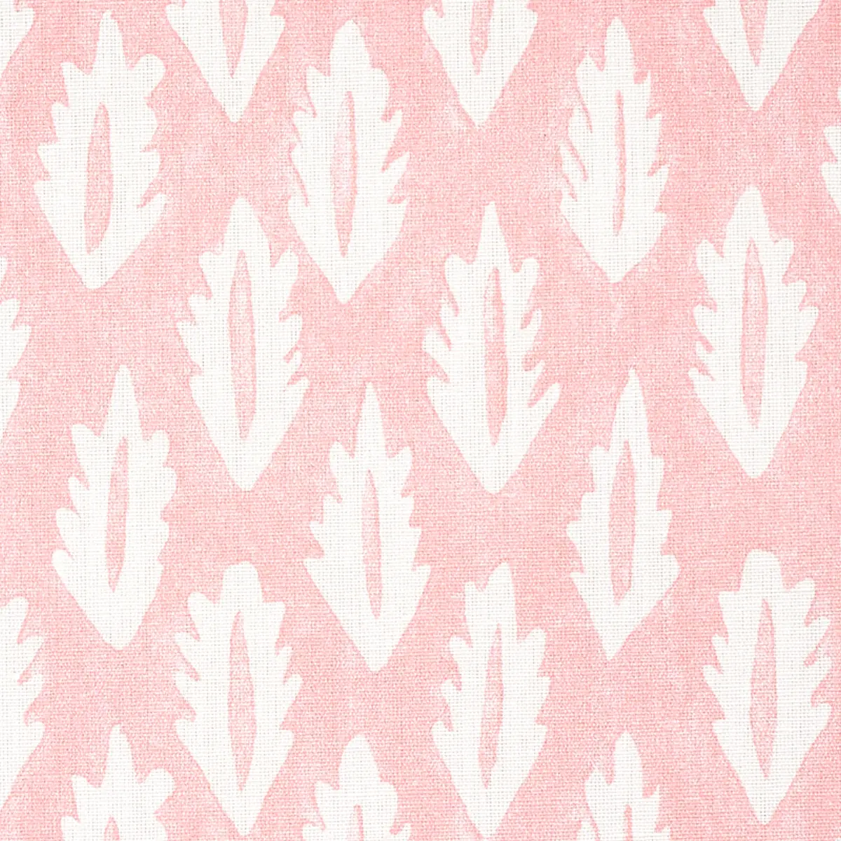 FOREST_ PINK