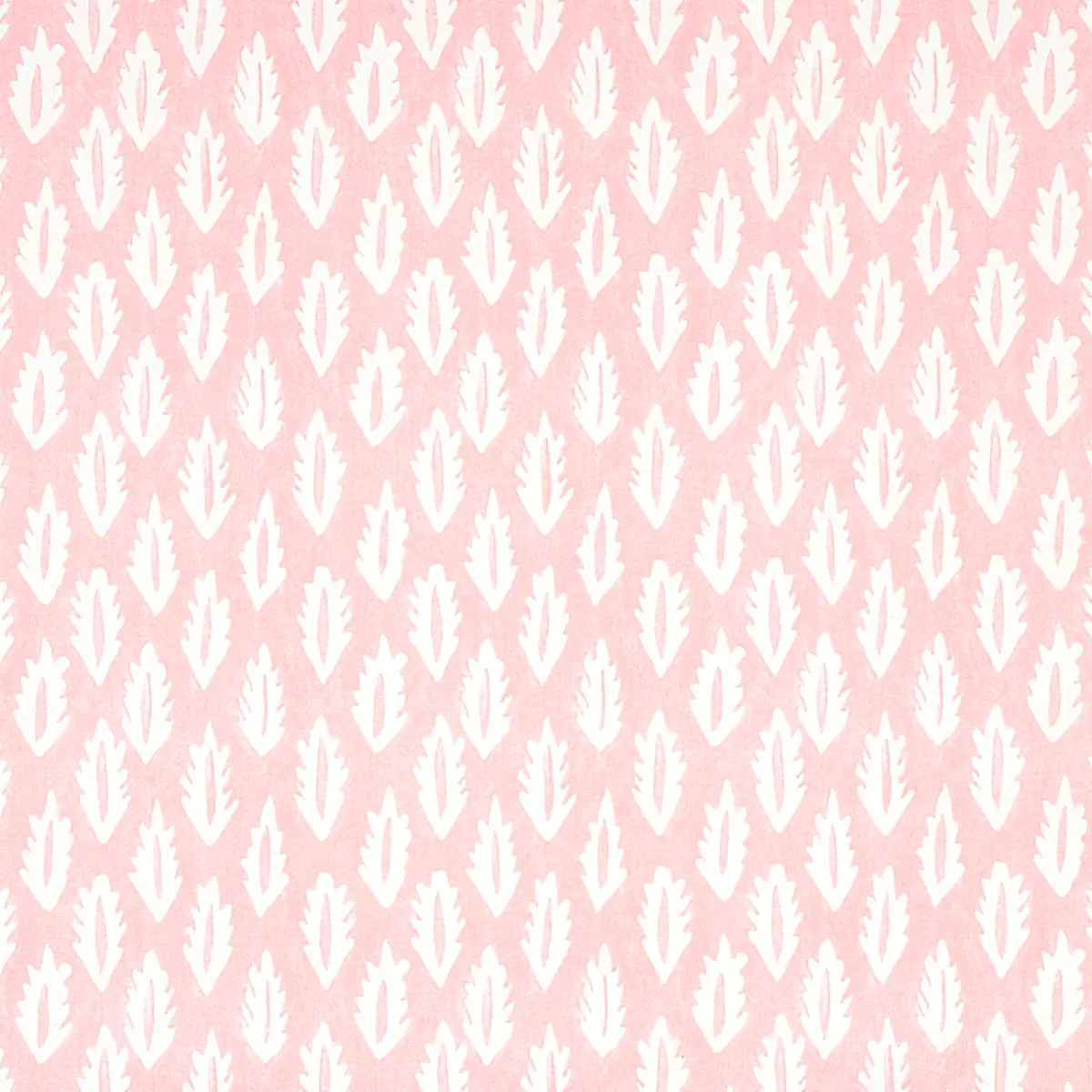FOREST_ PINK