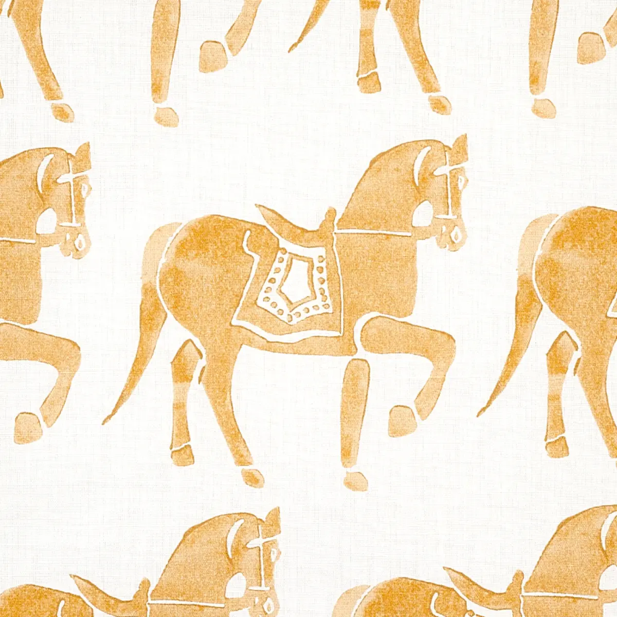MARWARI HORSE_ MUSTARD