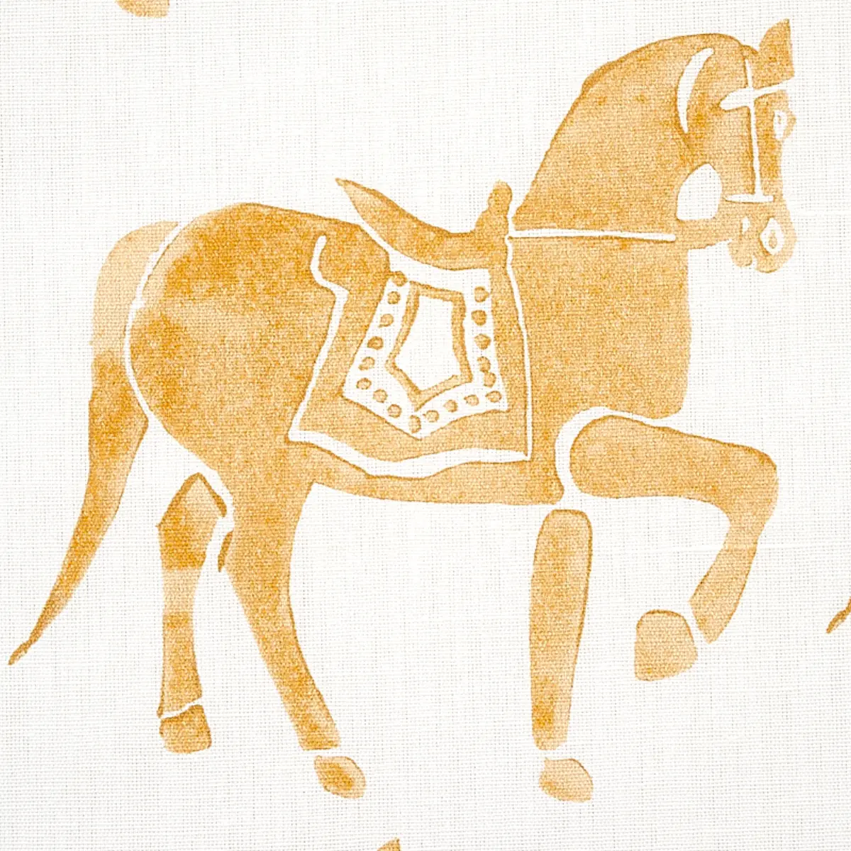 MARWARI HORSE_ MUSTARD