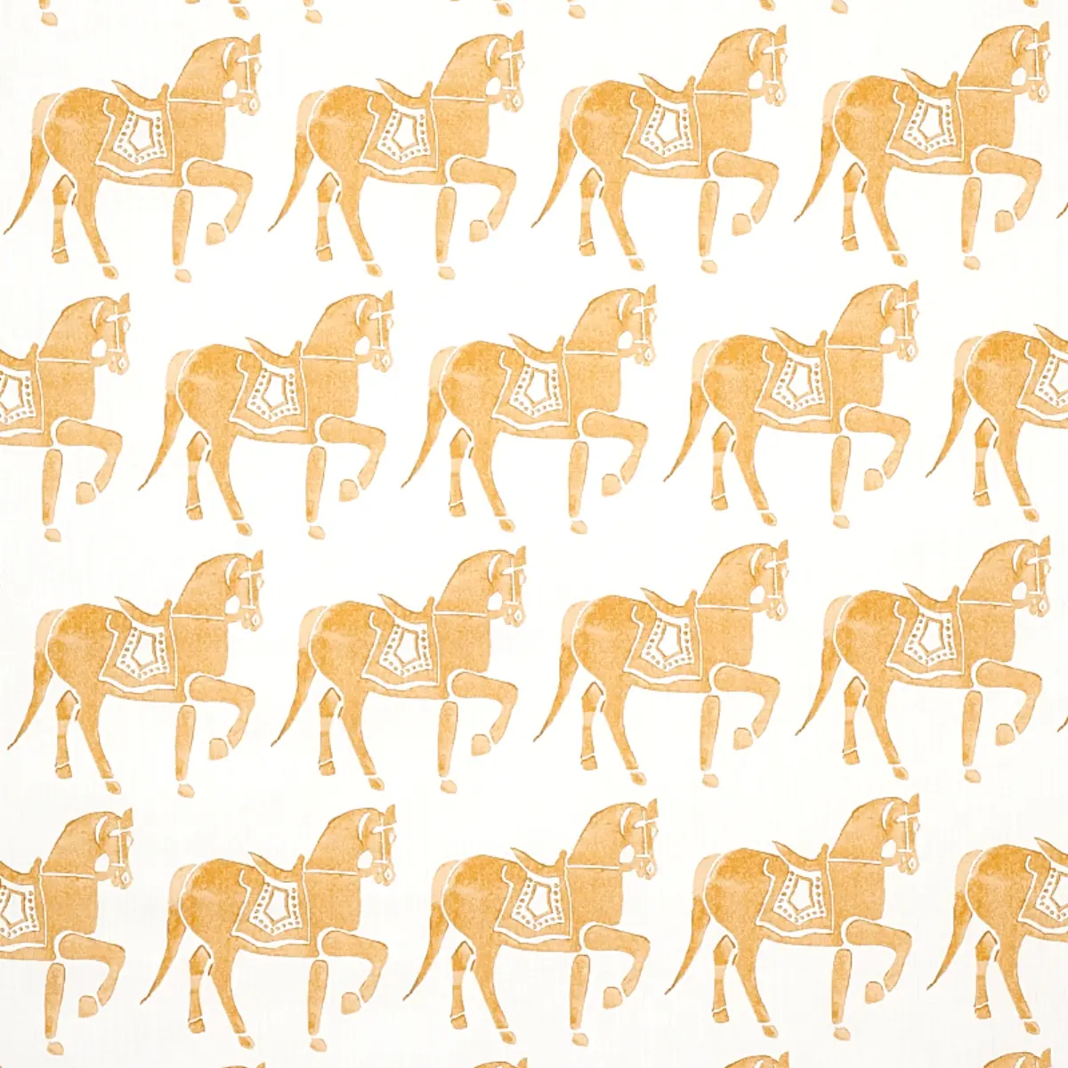 MARWARI HORSE_ MUSTARD