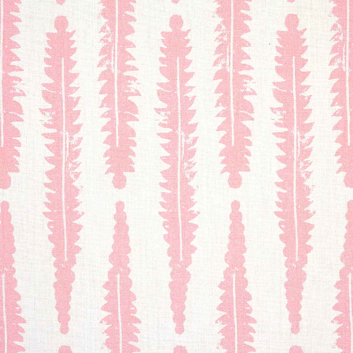FERN_ PINK