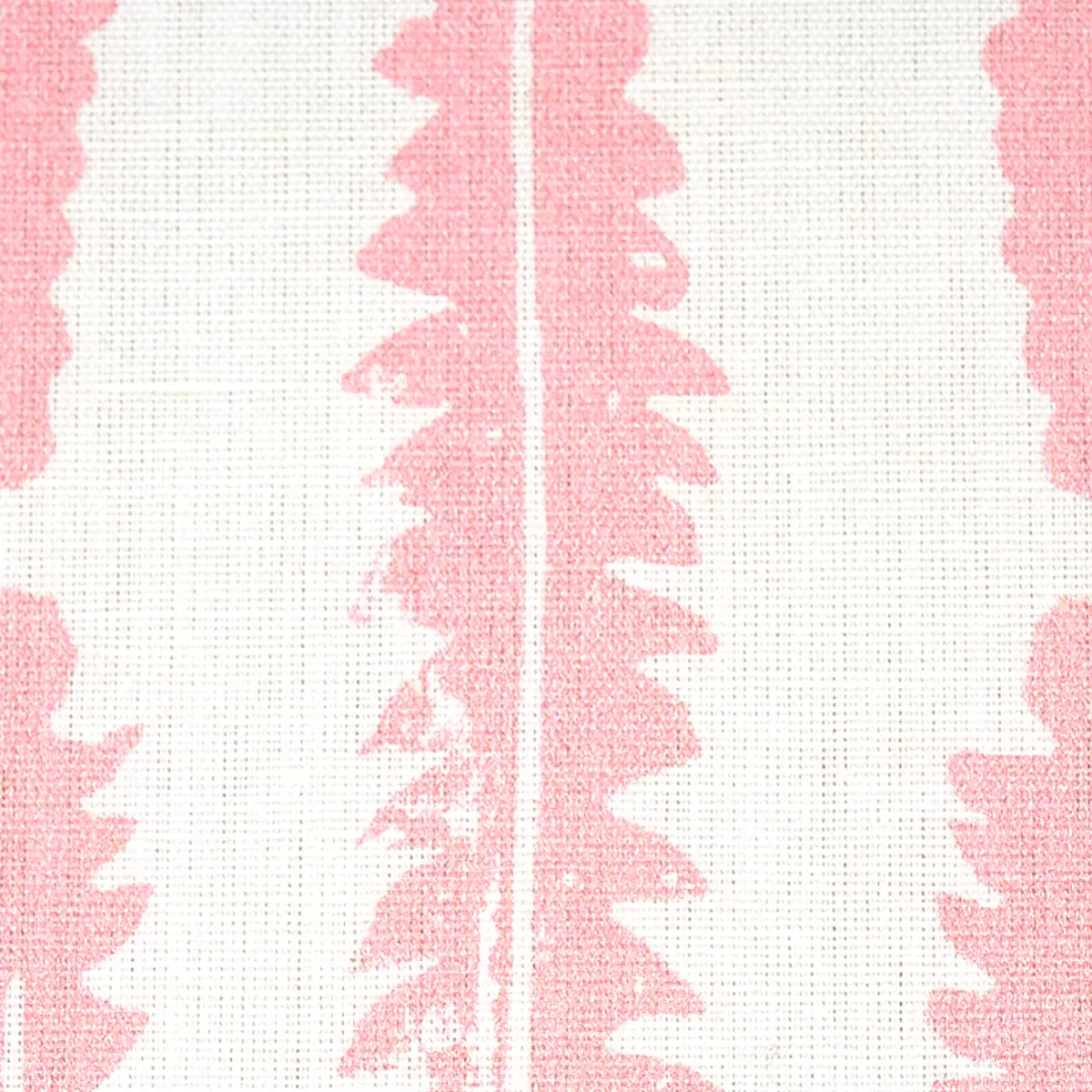 FERN_ PINK
