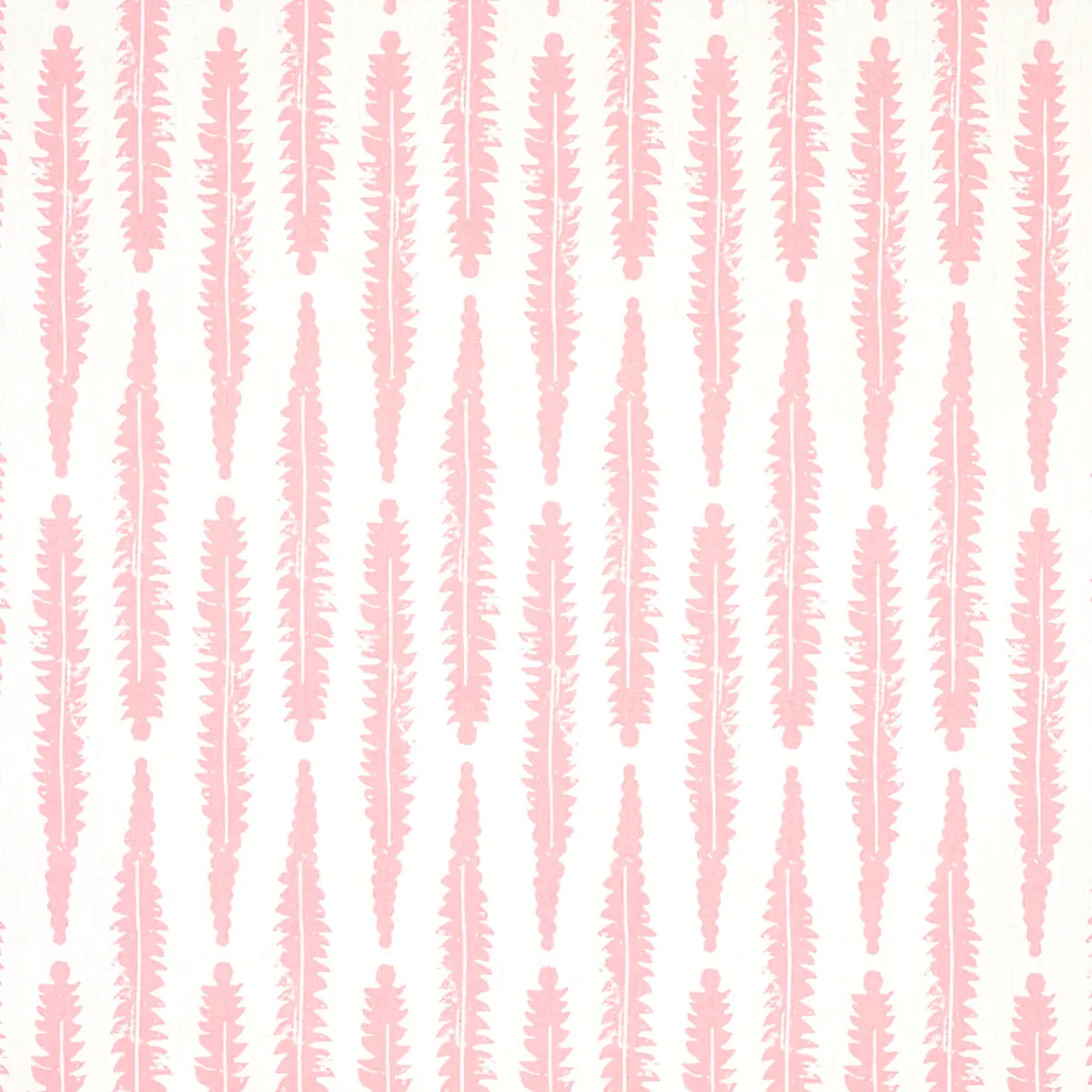 FERN_ PINK