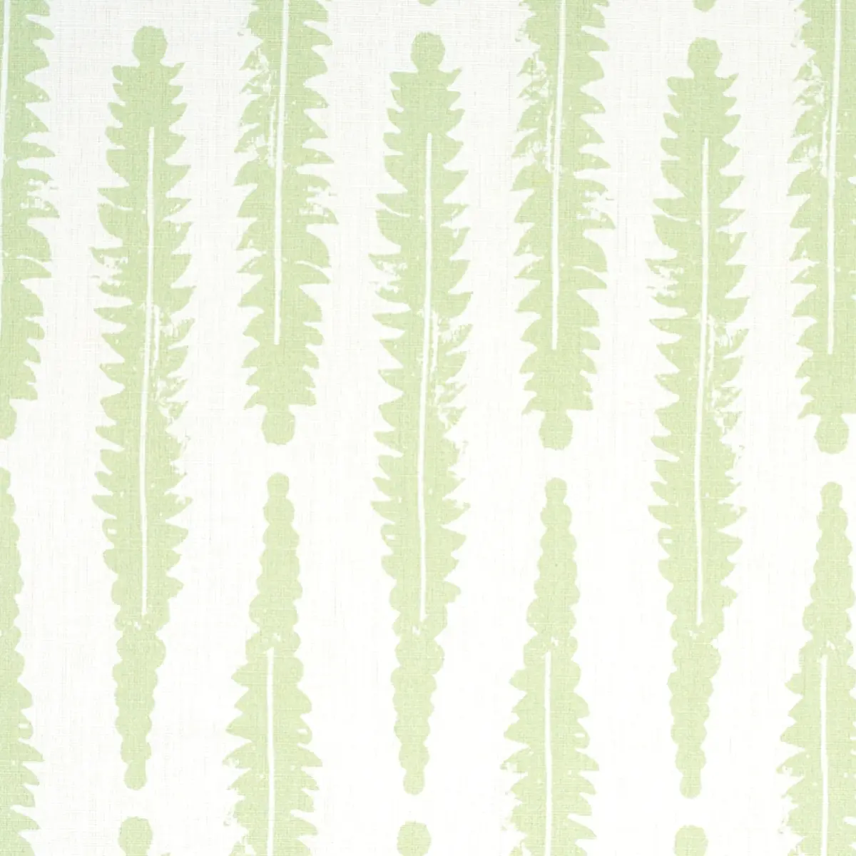 FERN_ SAGE