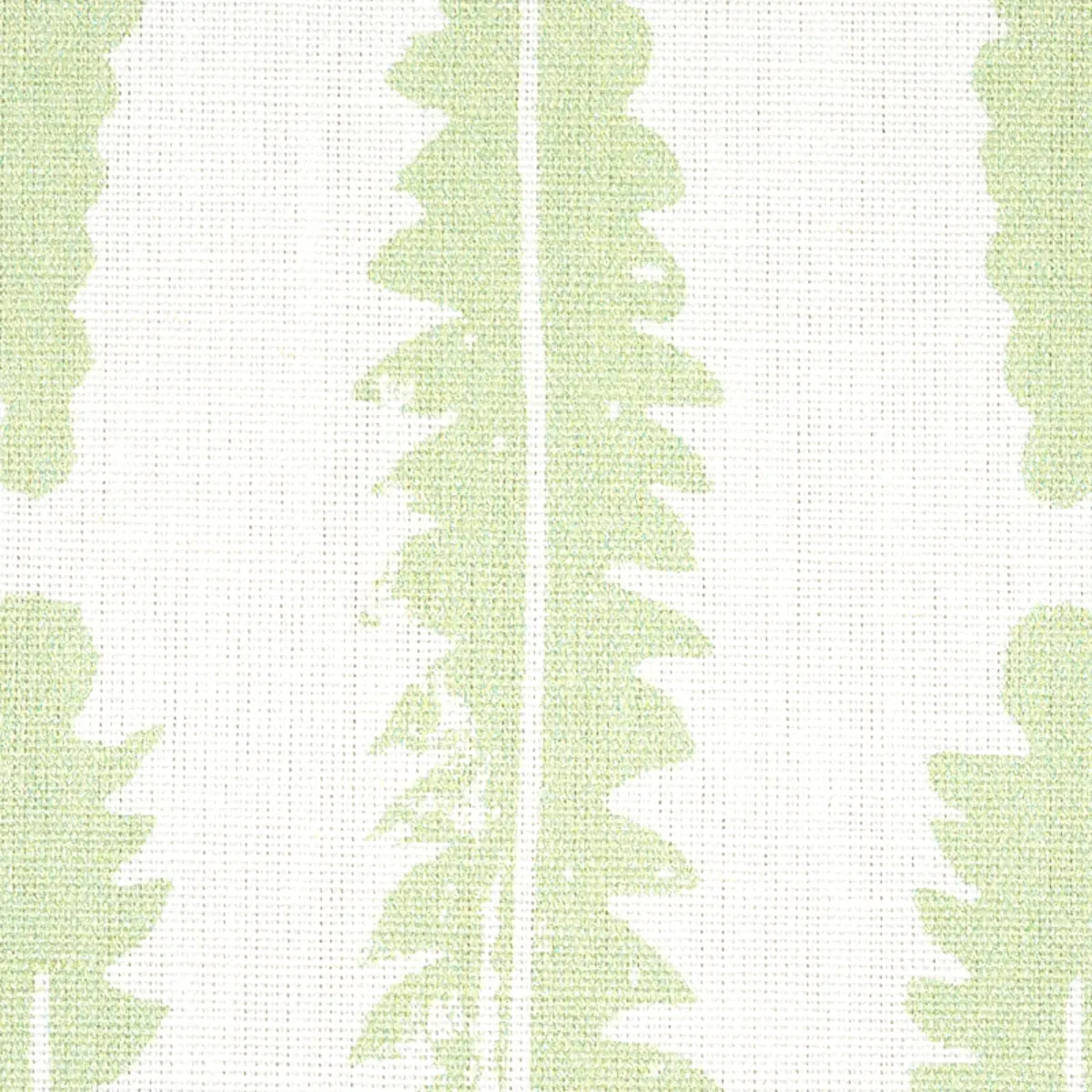 FERN_ SAGE