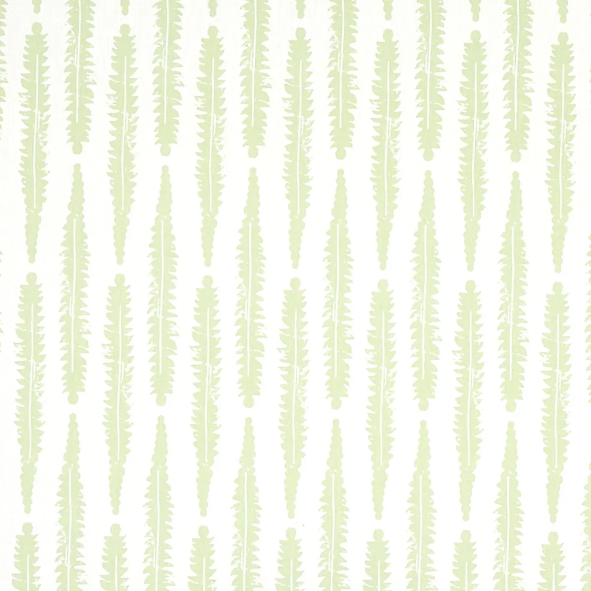 FERN_ SAGE