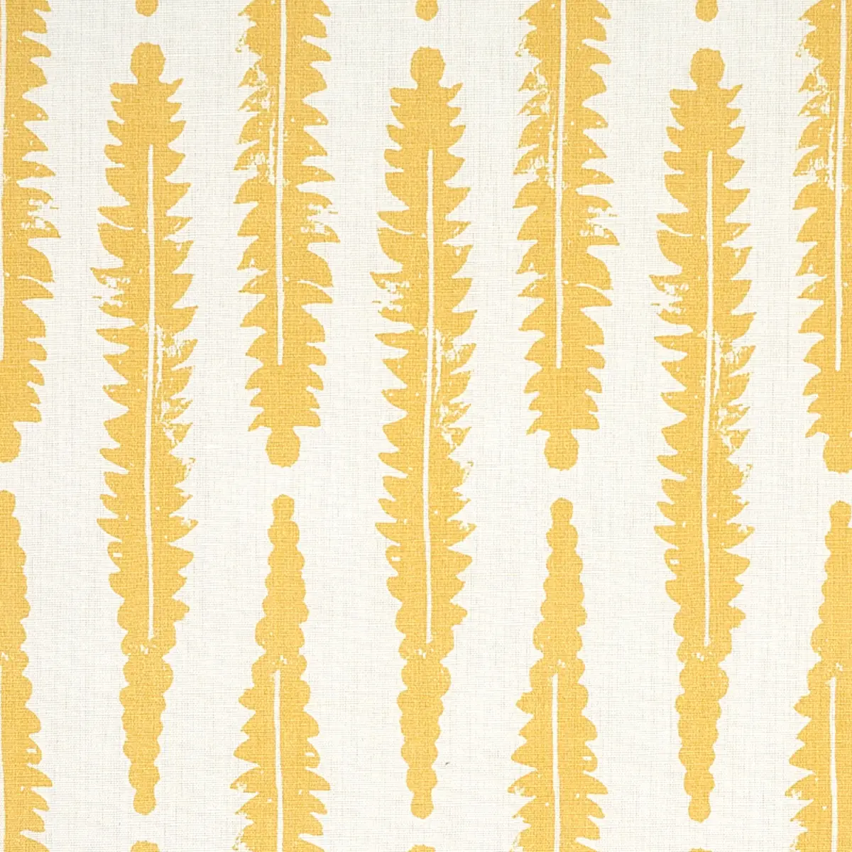 FERN_ MUSTARD