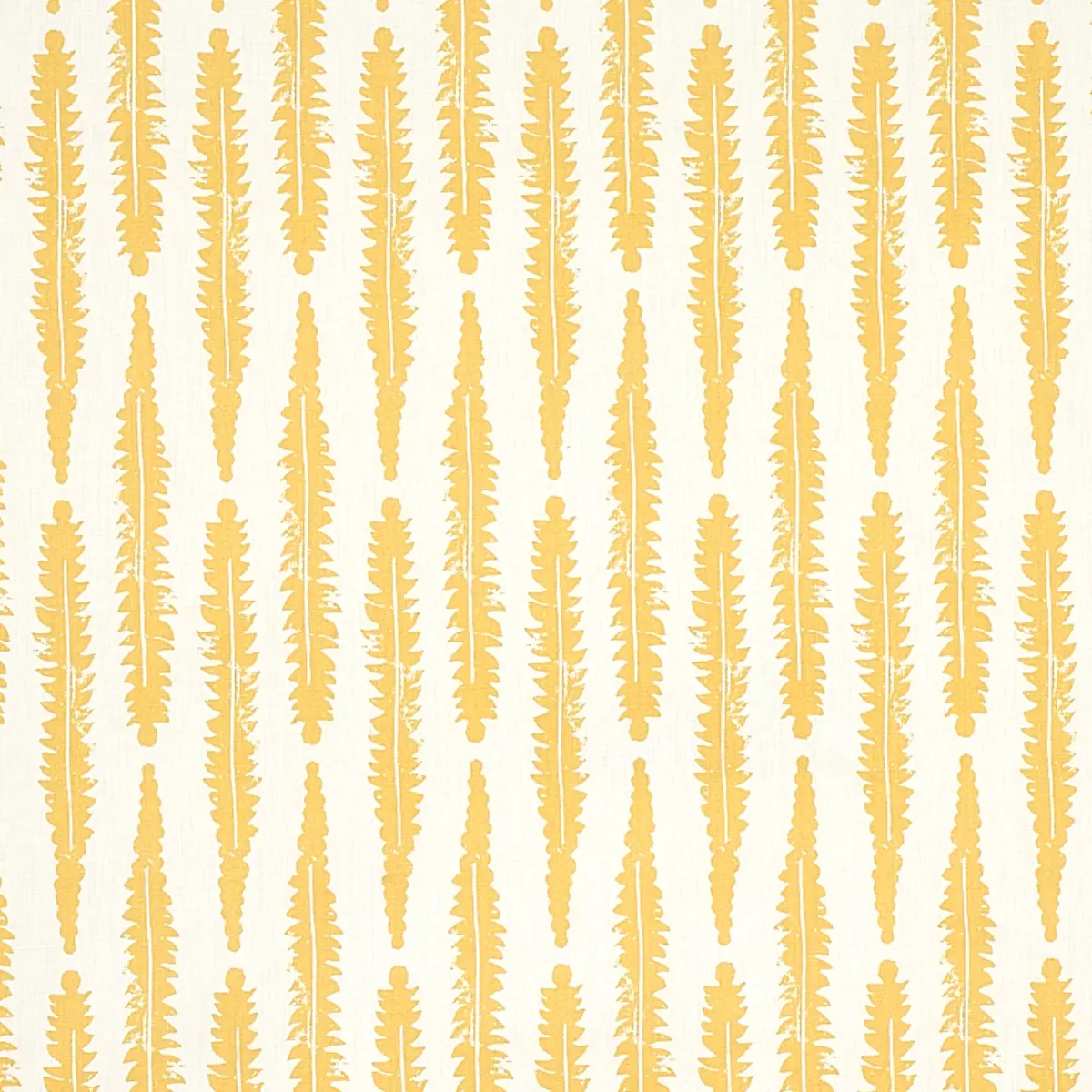 FERN_ MUSTARD