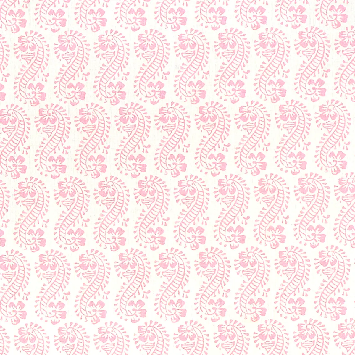 LANI_ PINK