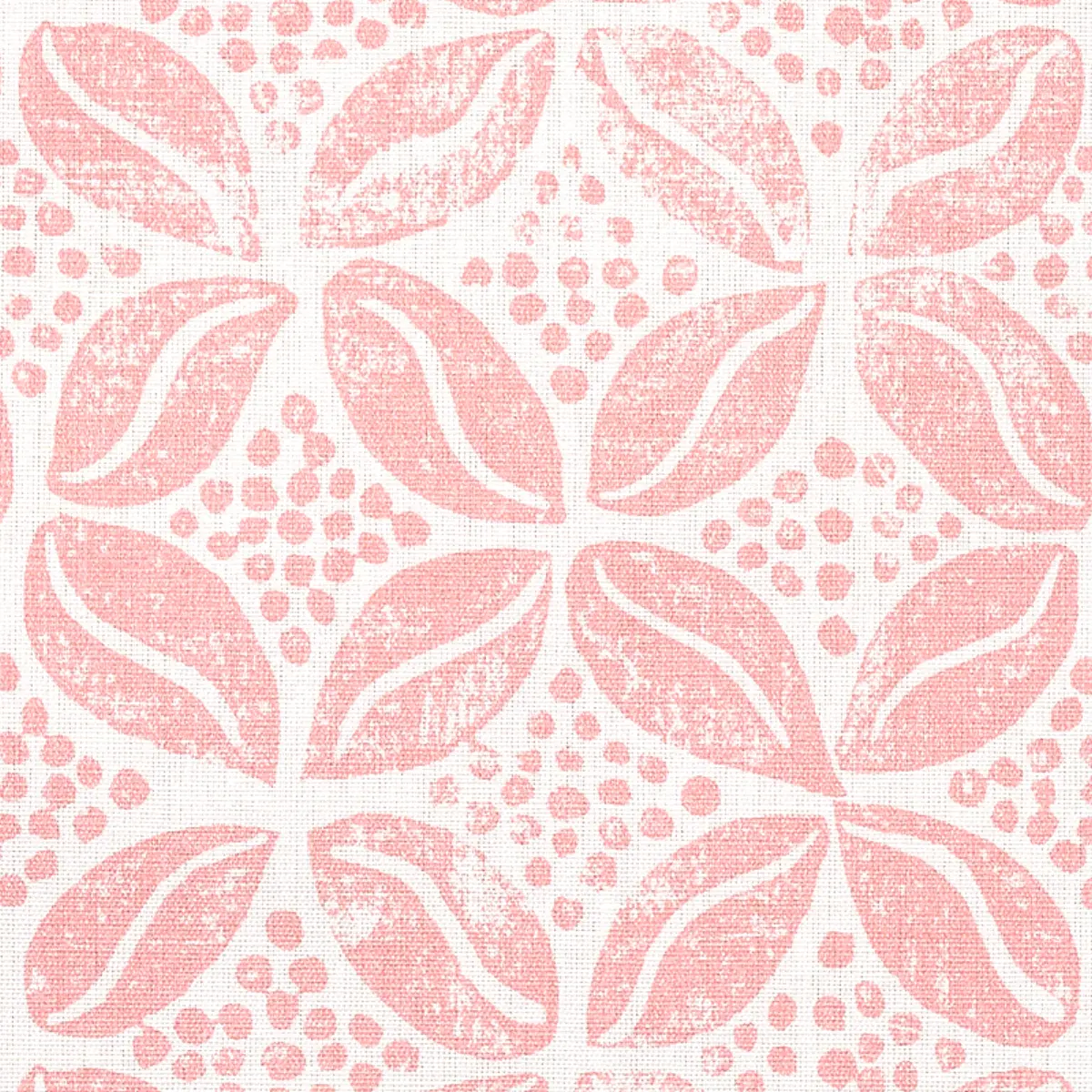 COFFEE BEAN_ PINK