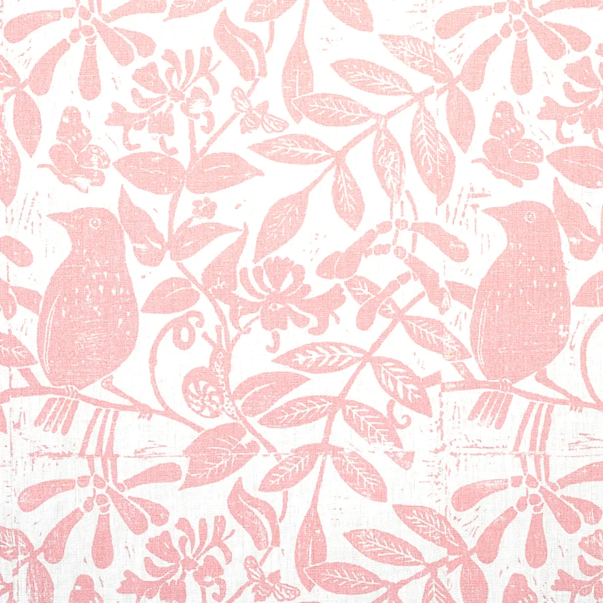 BIRD & BEE_ PINK