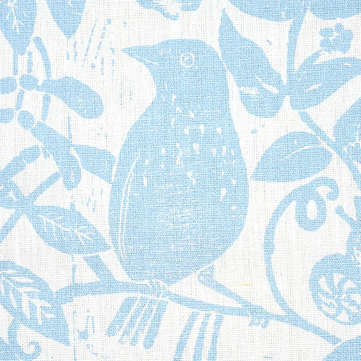 BIRD & BEE_ SKY