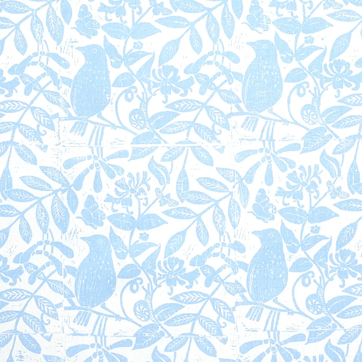 BIRD & BEE_ SKY