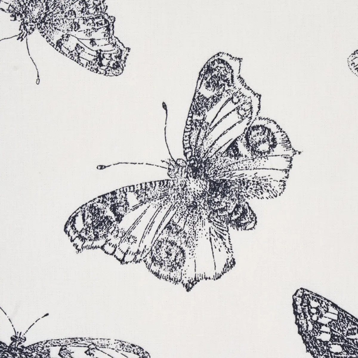 BURNELL BUTTERFLY_ BLACK