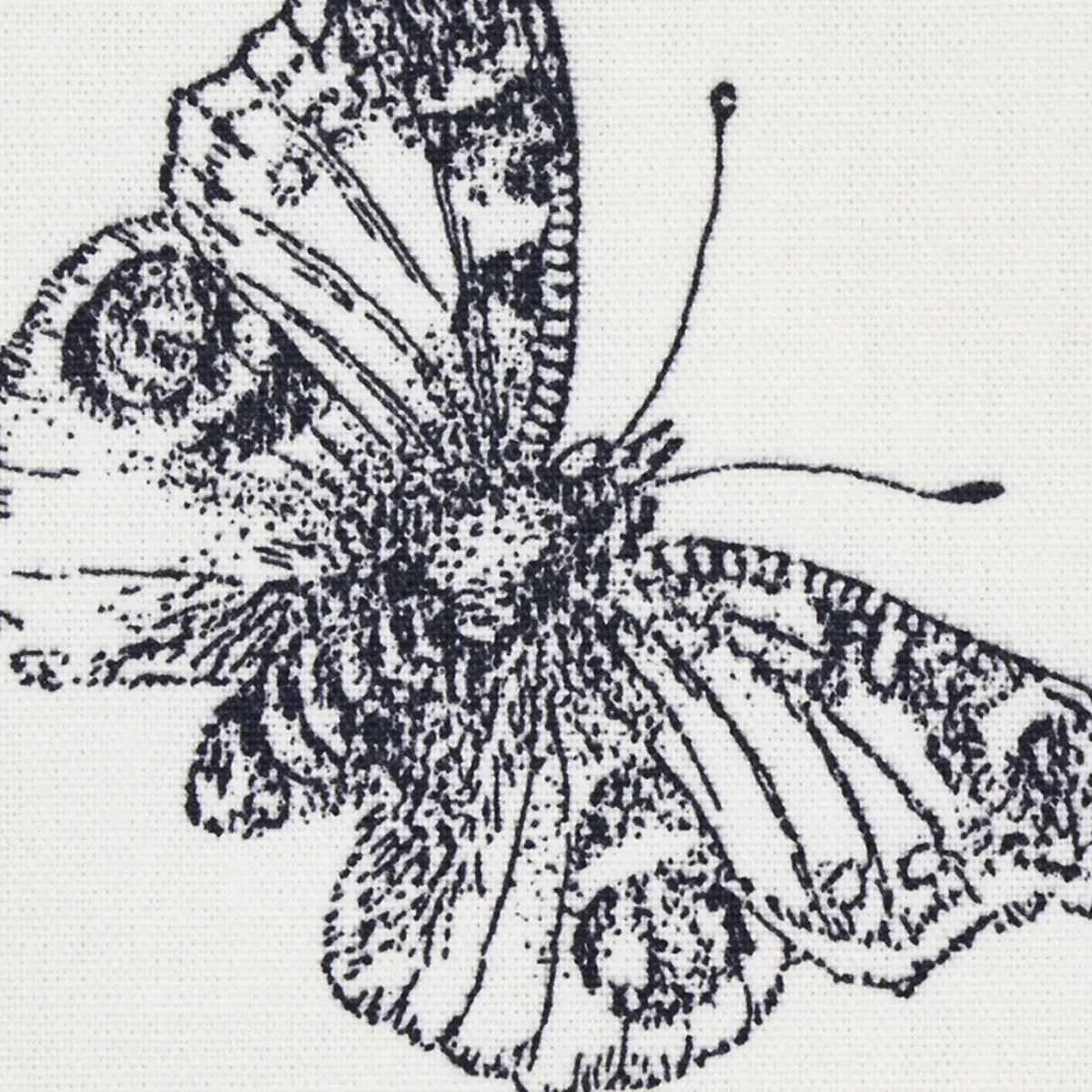 BURNELL BUTTERFLY_ BLACK