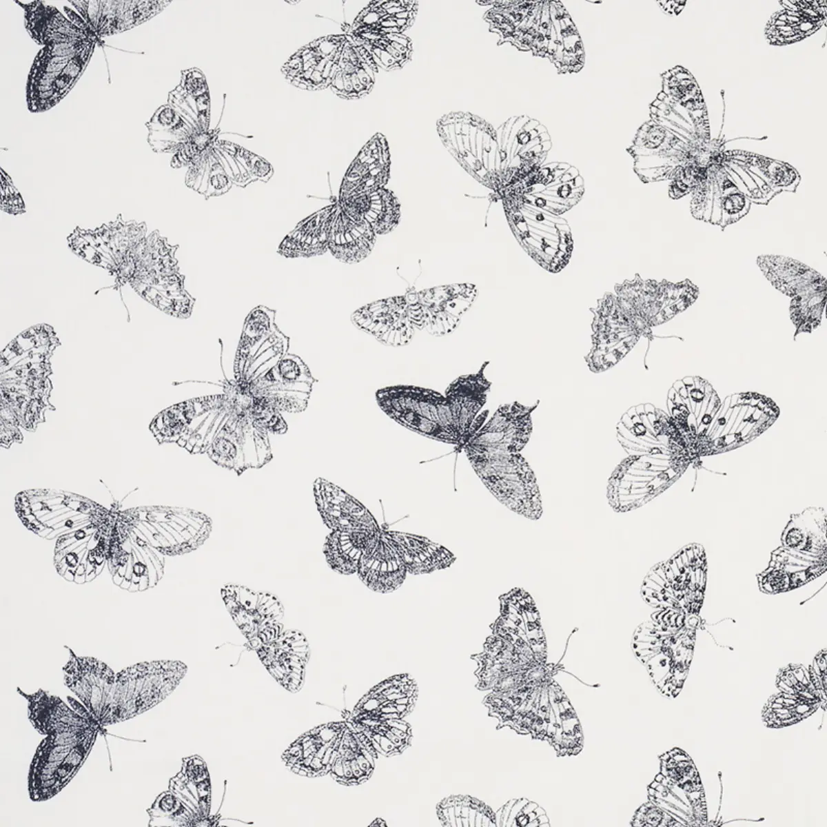 BURNELL BUTTERFLY_ BLACK