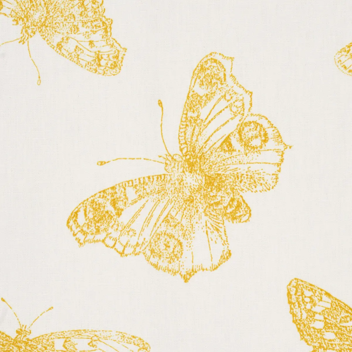 BURNELL BUTTERFLY_ YELLOW