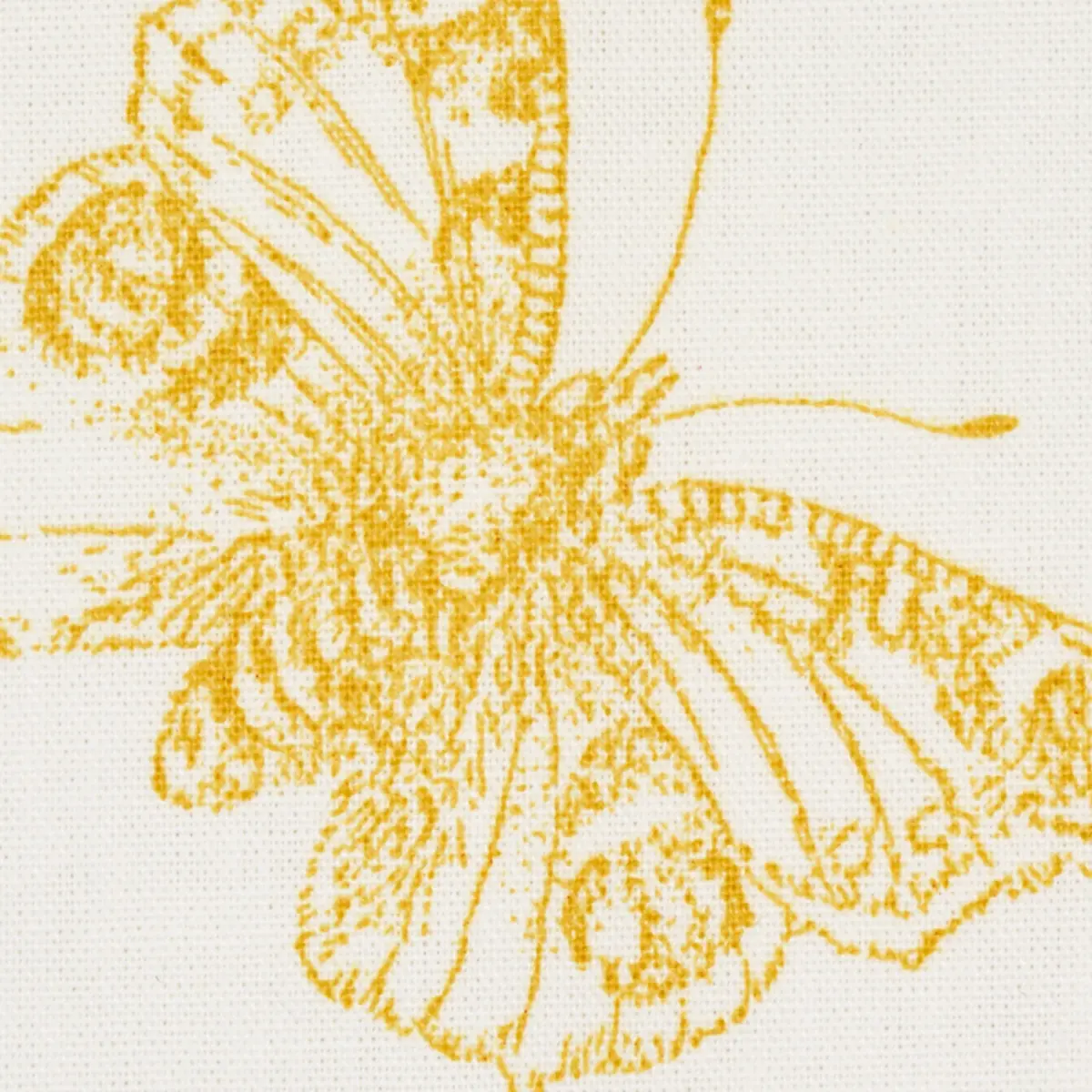 BURNELL BUTTERFLY_ YELLOW