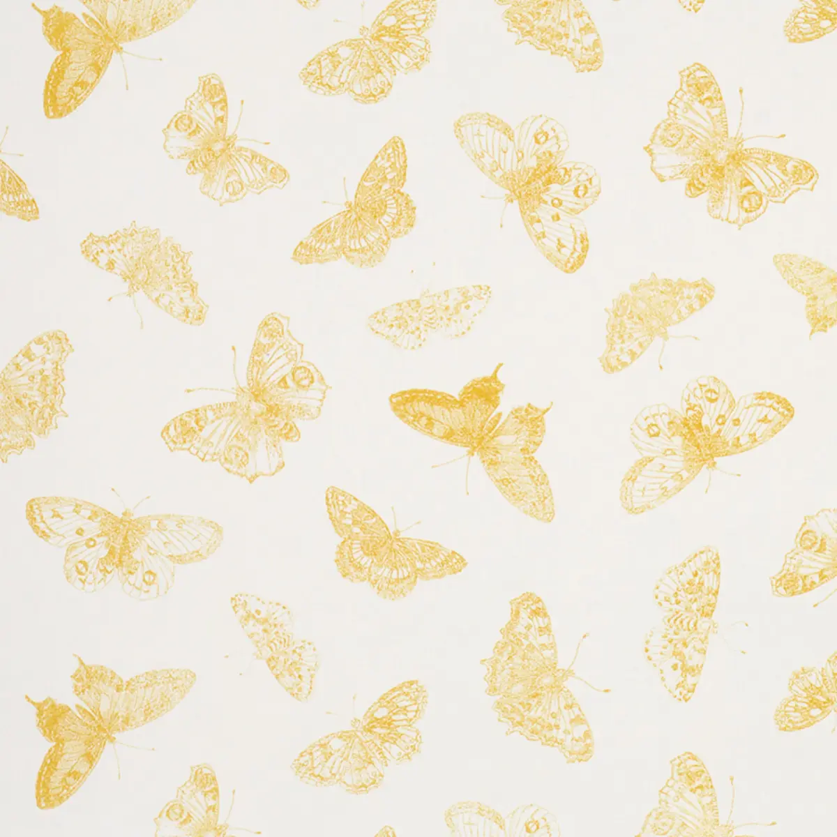 BURNELL BUTTERFLY_ YELLOW
