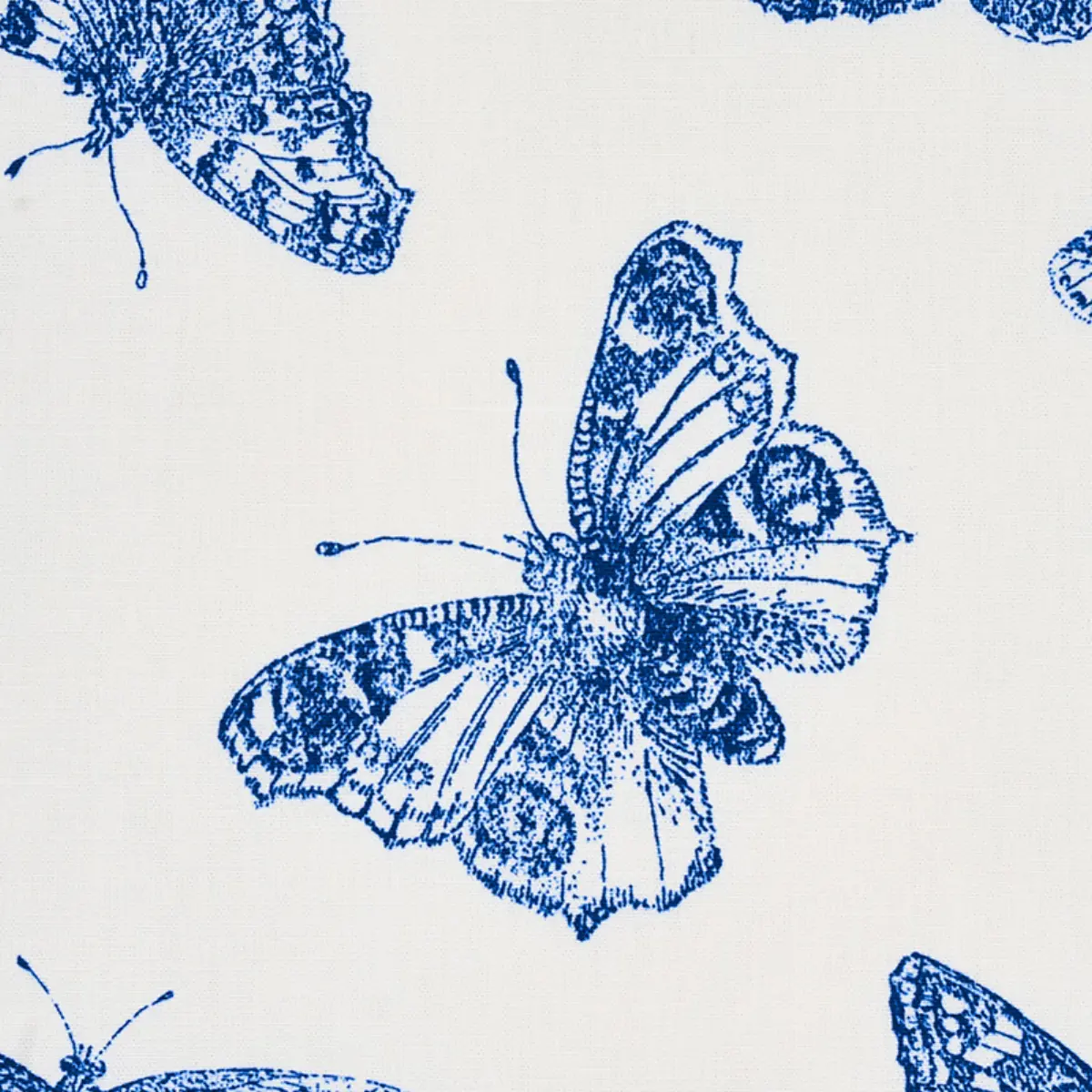 BURNELL BUTTERFLY_ BLUE