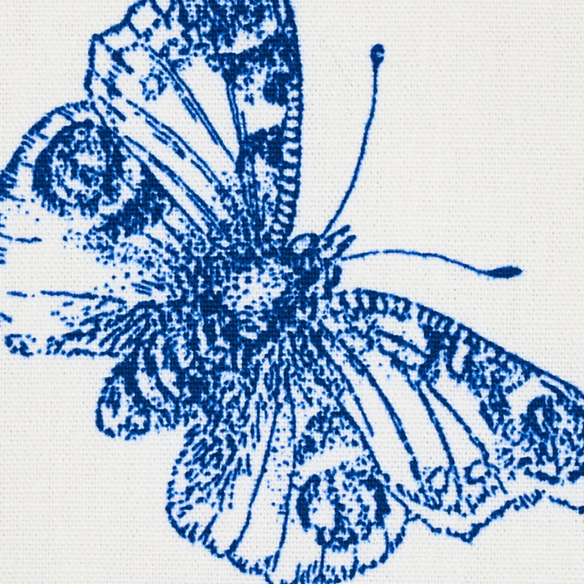BURNELL BUTTERFLY_ BLUE